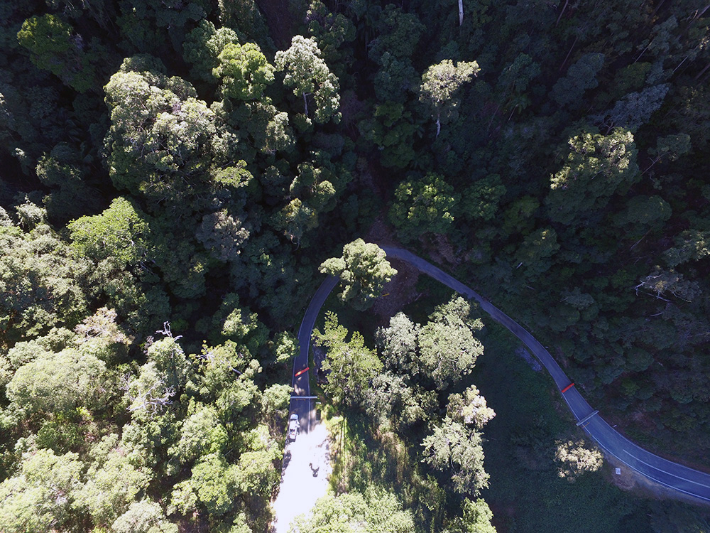 Gold Coast Hinterland | 3D High Definition Scanning